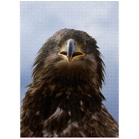 puzzleplate Golden eagle 1000 Jigsaw Puzzle