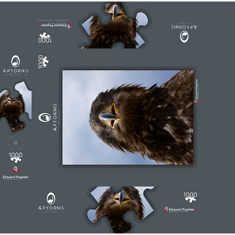 Golden eagle 1000 Jigsaw Puzzle box 3D Modell