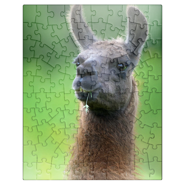puzzleplate Serge Llama 100 Jigsaw Puzzle