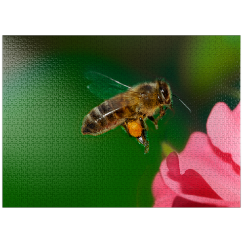 puzzleplate Bee 1000 Jigsaw Puzzle