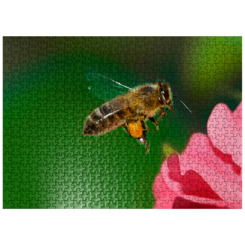 puzzleplate Bee 500 Jigsaw Puzzle