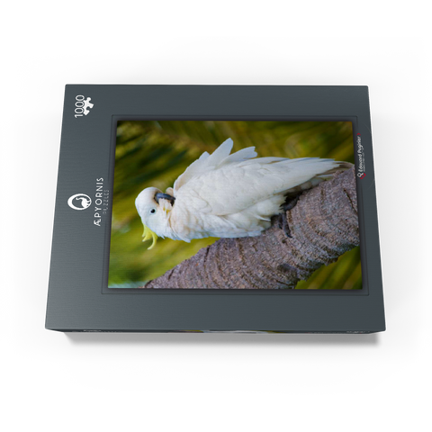 Sulphur-crested Cockatoo 1000 Jigsaw Puzzle box view1