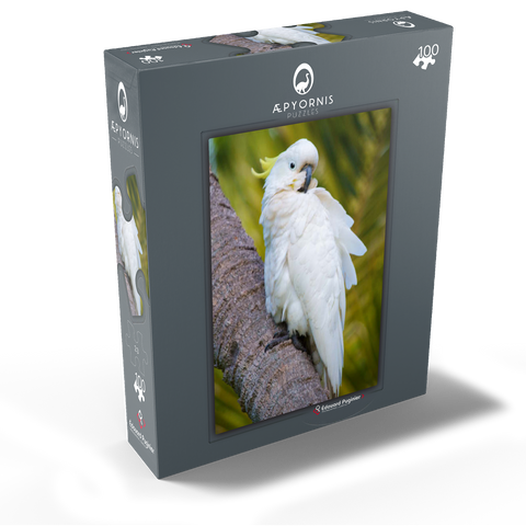 Sulphur-Crested Cockatoo 100 Jigsaw Puzzle box view1
