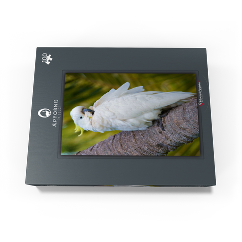 Sulphur-Crested Cockatoo 100 Jigsaw Puzzle box view1