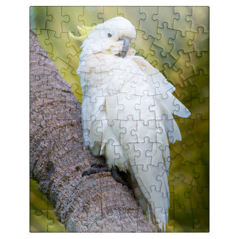 puzzleplate Sulphur-Crested Cockatoo 100 Jigsaw Puzzle