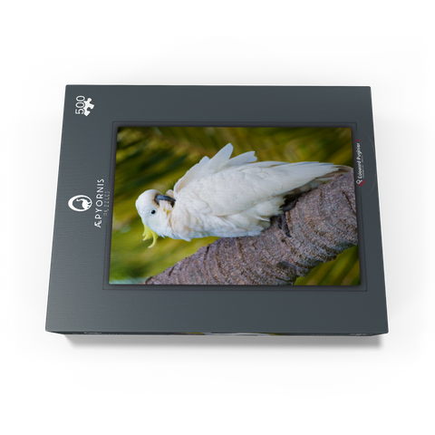 Sulphur-Crested Cockatoo 500 Jigsaw Puzzle box view1