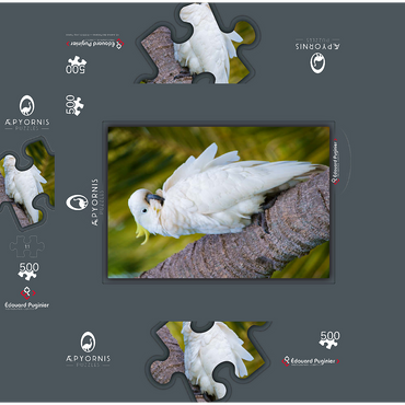 Sulphur-Crested Cockatoo 500 Jigsaw Puzzle box 3D Modell