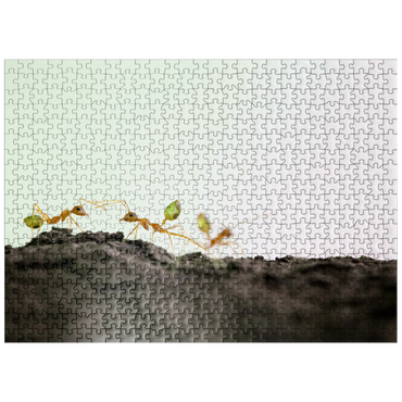 puzzleplate Green Tree Ant 500 Jigsaw Puzzle