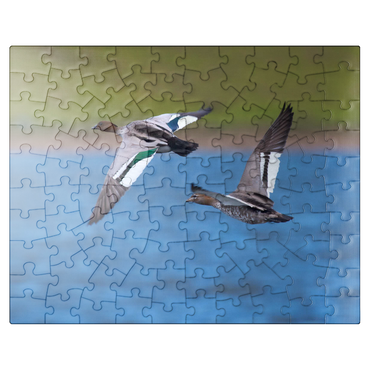puzzleplate Australian Wood Duck 100 Jigsaw Puzzle