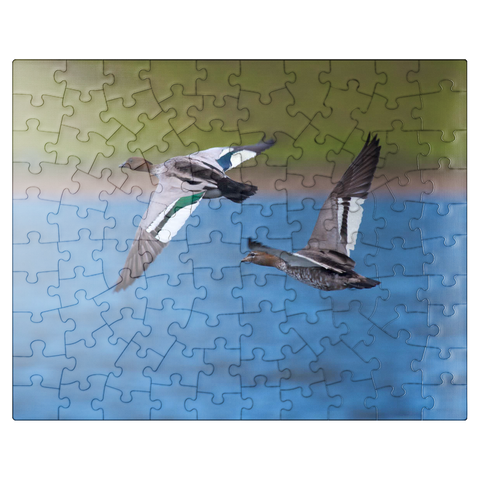 puzzleplate Australian Wood Duck 100 Jigsaw Puzzle