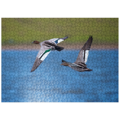 puzzleplate Australian Wood Duck 500 Jigsaw Puzzle