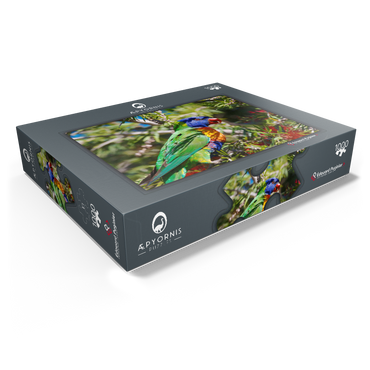 Rainbow Lorikeet 1000 Jigsaw Puzzle box view1