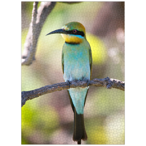 puzzleplate Rainbow Bee-eater 1000 Jigsaw Puzzle