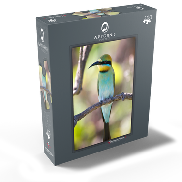 Rainbow Bee-Eater 100 Jigsaw Puzzle box view1