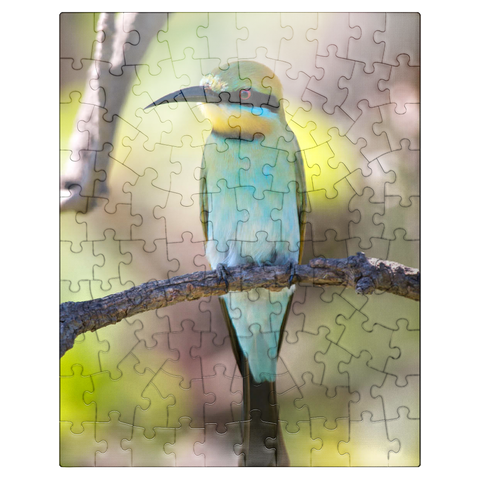 puzzleplate Rainbow Bee-Eater 100 Jigsaw Puzzle