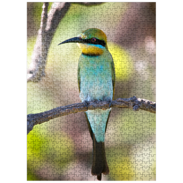 puzzleplate Rainbow Bee-Eater 500 Jigsaw Puzzle