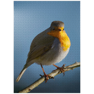 puzzleplate European Robin 1000 Jigsaw Puzzle