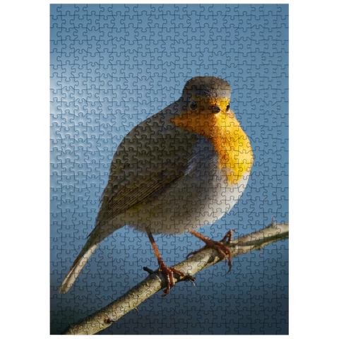 puzzleplate European Robin 500 Jigsaw Puzzle