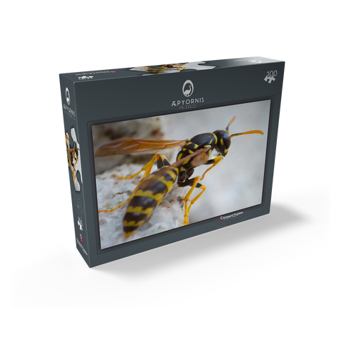 European Paper Wasp 100 Jigsaw Puzzle box view1