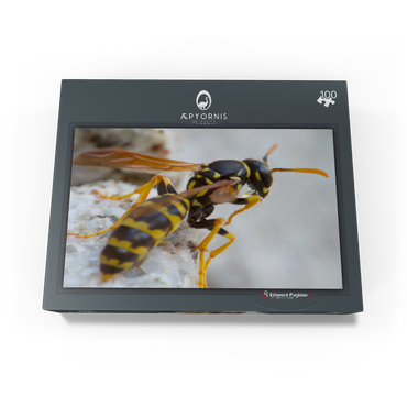 European Paper Wasp 100 Jigsaw Puzzle box view1