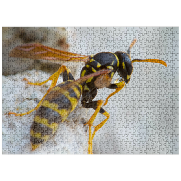 puzzleplate European Paper Wasp 500 Jigsaw Puzzle