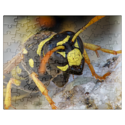 puzzleplate European Paper Wasp 100 Jigsaw Puzzle