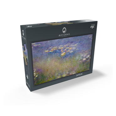 Claude Monets Water Lilies 1915-1916 100 Jigsaw Puzzle box view1
