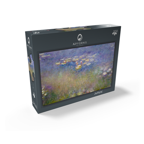 Claude Monets Water Lilies 1915-1916 100 Jigsaw Puzzle box view1