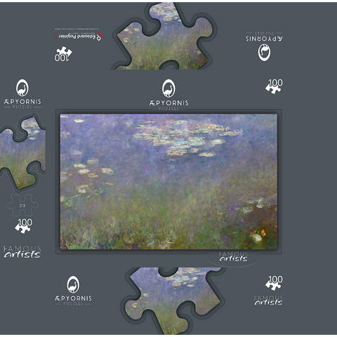 Water Lilies wall art Claude Monet 1915-1926}} 100 Jigsaw Puzzle box 3D Modell