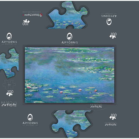Water Lilies 1840-1926 by Claude Monet 100 Jigsaw Puzzle box 3D Modell
