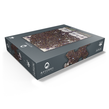 Gustav Klimts The Apple Tree 1916 500 Jigsaw Puzzle box view1