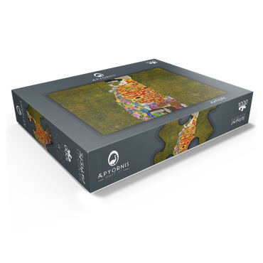 Gustav Klimt's Hope II (1907-1908) 1000 Jigsaw Puzzle box view1