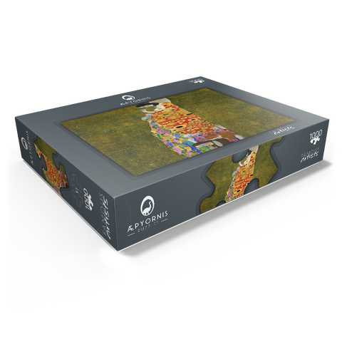 Gustav Klimt's Hope II (1907-1908) 1000 Jigsaw Puzzle box view1
