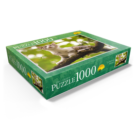 1000