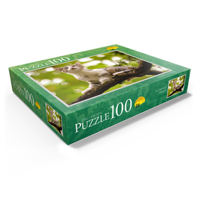 100