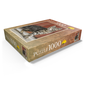 1000