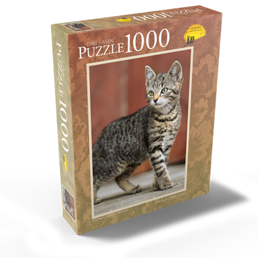 Nala explores 1000 Jigsaw Puzzle box view1