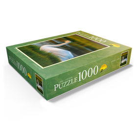 1000