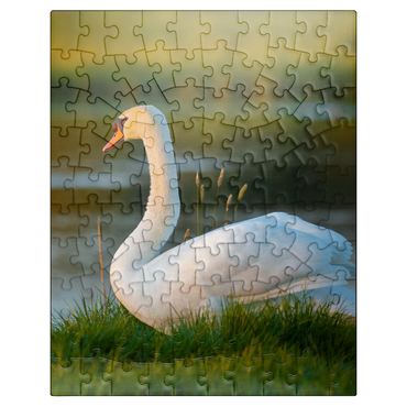 puzzleplate Lake swan 100 Jigsaw Puzzle