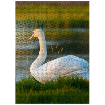 puzzleplate Lake swan 500 Jigsaw Puzzle
