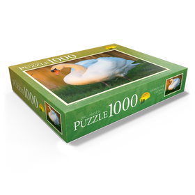 1000