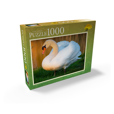 Swan in evening light 1000 Jigsaw Puzzle box view1
