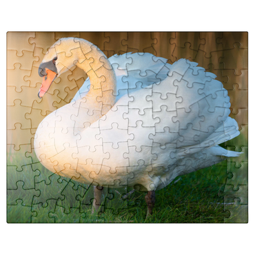 puzzleplate Swan in Evening Light 100 Jigsaw Puzzle