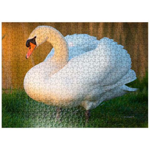 puzzleplate Swan in Evening Light 500 Jigsaw Puzzle