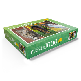 1000