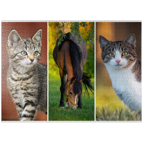 puzzleplate Cats&Horse collage 1000 Jigsaw Puzzle