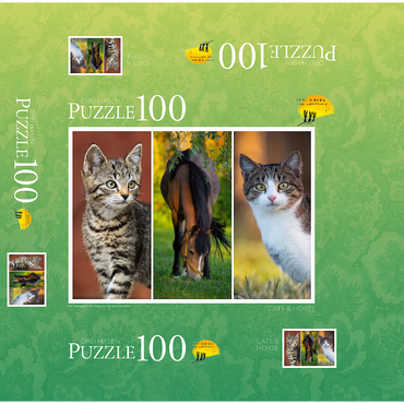 Cats and Horse Collage 100 Jigsaw Puzzle box 3D Modell