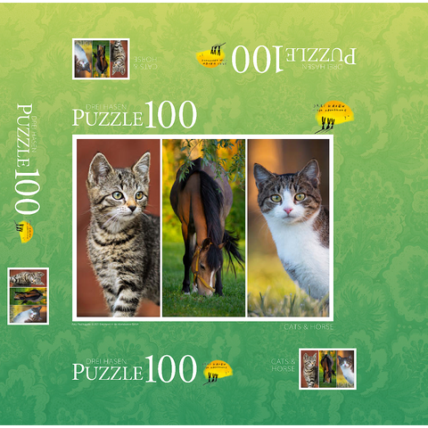 Cats and Horse Collage 100 Jigsaw Puzzle box 3D Modell