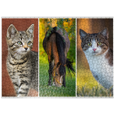 puzzleplate Cats and Horse Collage 500 Jigsaw Puzzle