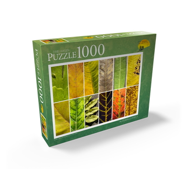 Autumn Leaves 1 1000 Jigsaw Puzzle box view1